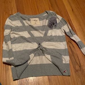 hollister cardigan
